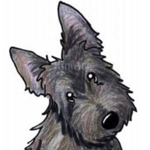 Meet your Posher, Candy